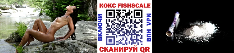 цена наркотик  Каргополь  МЕГА   COCAIN VHQ 