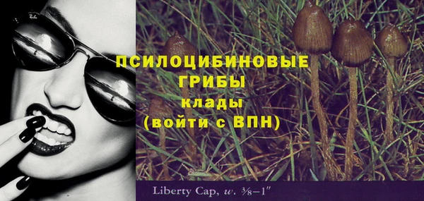 спиды Елизово