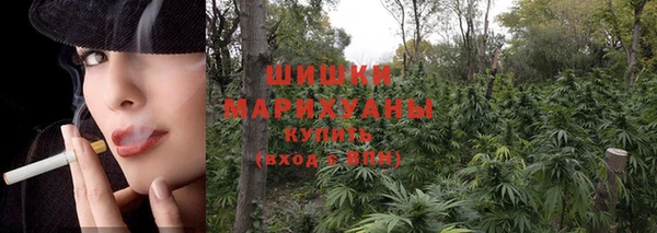 прущая мука Ельня