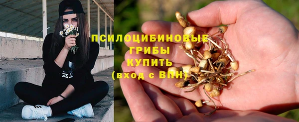 прущая мука Ельня